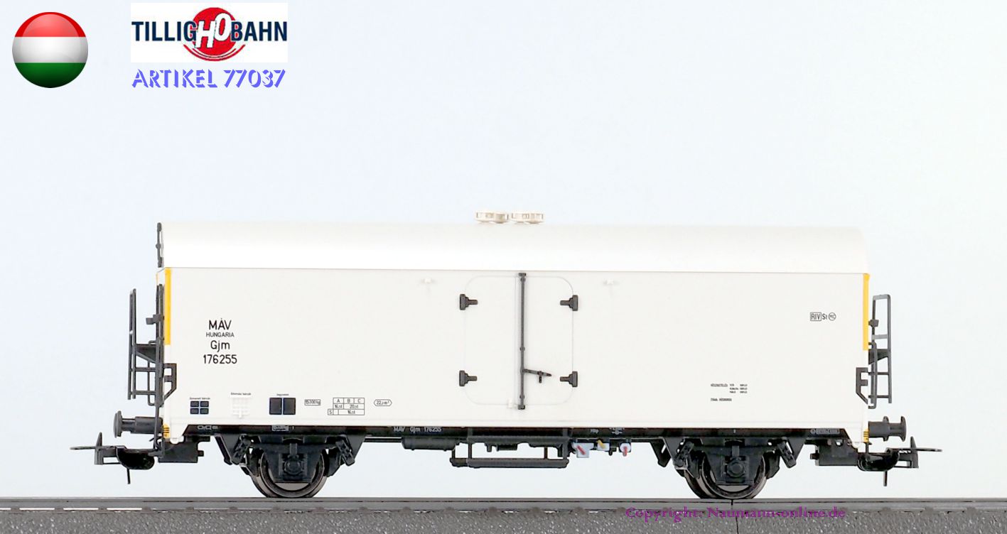 Naumann Modelleisenbahnen Tillig H0 77037 